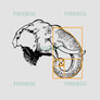 Golden Ratio Elephant